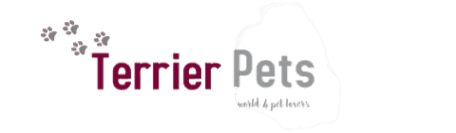 Terrier Pets